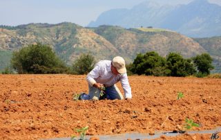 Αγρότης ρύθμισης αιτήσεις ασφάλιση προαιρετική σχέδια Μηχανογραφικό Παράταση