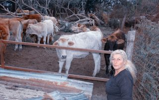 κτηνοτρόφος