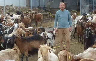 Προγράμματα της ΚΑΠ πίστωση 2% στους κτηνοτρόφους Βαγγέλης Ζαμίχος