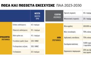 μέγιστο πριμ