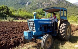 Επικαιροποιημένοι πίνακες Βιολογική Γεωργία