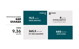 πρασινες δρασεις οφελος