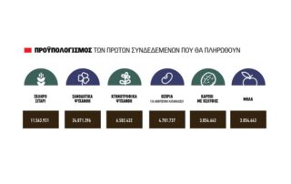 Χρόνος για διορθώσεις ΟΣΔΕ και εκκαθάριση