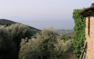 μεταβιβάσεις δικαιωμάτων Εθνικό Απόθεμα