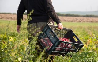 αιτήσεις στήριξης Βιολογική Γεωργία