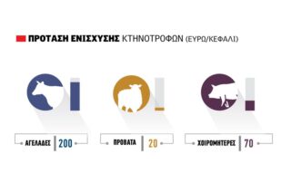 κτηνοτροφία κόστη παραγωγής