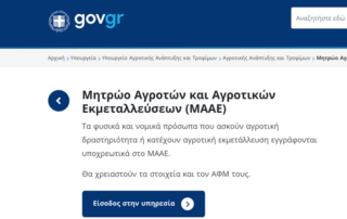 δήλωση οσδε φορολογική