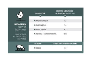 βιολογικά μελίσσια