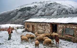 ενισχύσεις αγροτών