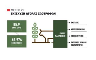 σπάνιες φυλές