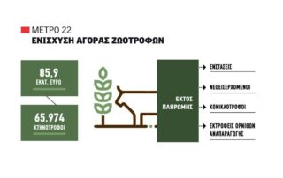 πολλαπλή συμμόρφωση