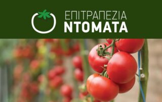 επιτραπέζια ντομάτα