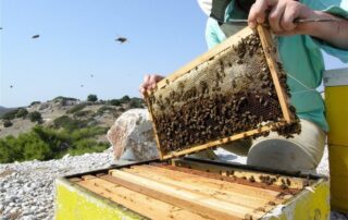 πληρωμές de minimis για μετά το Πάσχα