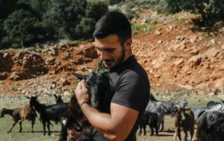 πρασίνισμα