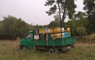 Διπλό πριμ σε κυψέλες