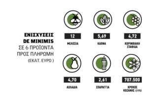 ΟΠΕΚΕΠΕ με de minimis-συνδεδεμένες