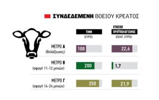 νέες συνδεδεμένες
