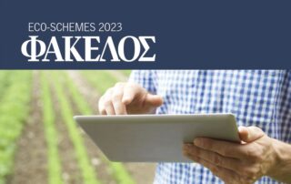 Ψηφιακή εφαρμογή