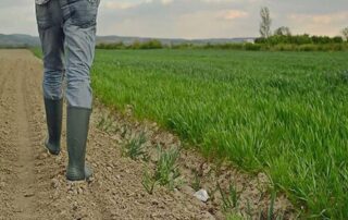 Έλεγχος και πρόστιμα για αγρότες που δεν εντάχθηκαν στα βιβλία