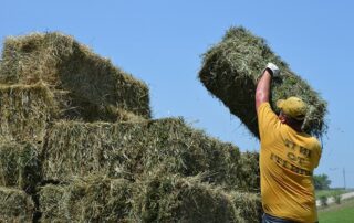 Αναδρομικά συμβολαιακή στην ΑΑΔΕ
