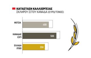 τιμή σκληρού