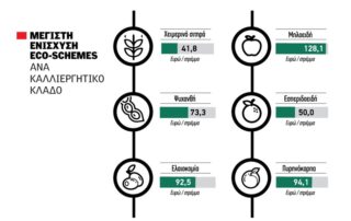 eco-schemes σε έξι κλάδους