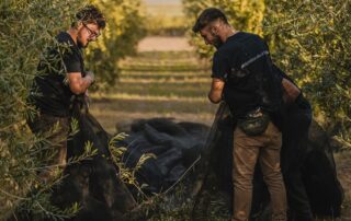 Νέους Αγρότες
