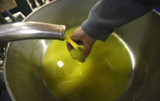 ελαιόλαδο