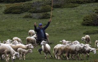 πριμ των 10 ευρώ για δασολίβαδα