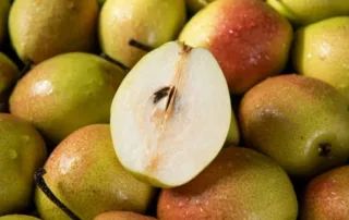 axladia