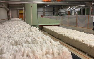 cotton