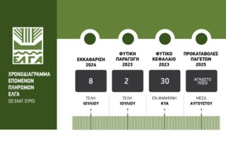 elga_site_8