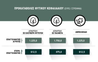 fytiko_kefalaio