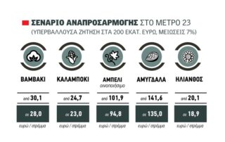 metro_23_site