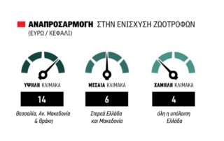 enisxisi_