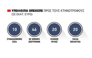 opekepe_site_7