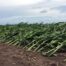 agriculture_01_2