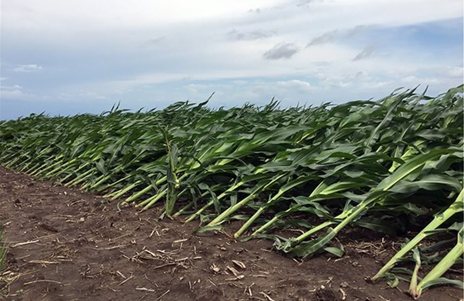 agriculture_01_2
