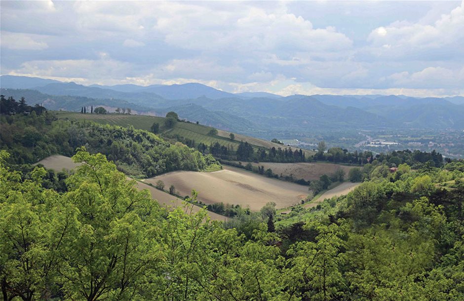 agrotemahia