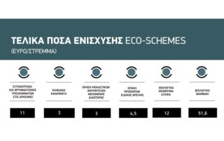 ECO-SCHEMES