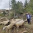 Σύντομα η πρόσκληση για τις εξισωτικές