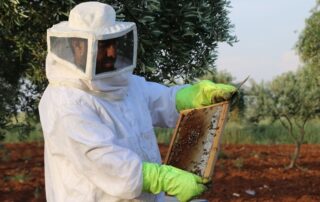 ehoney_57_