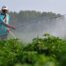 myAGRO