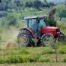 agrotes