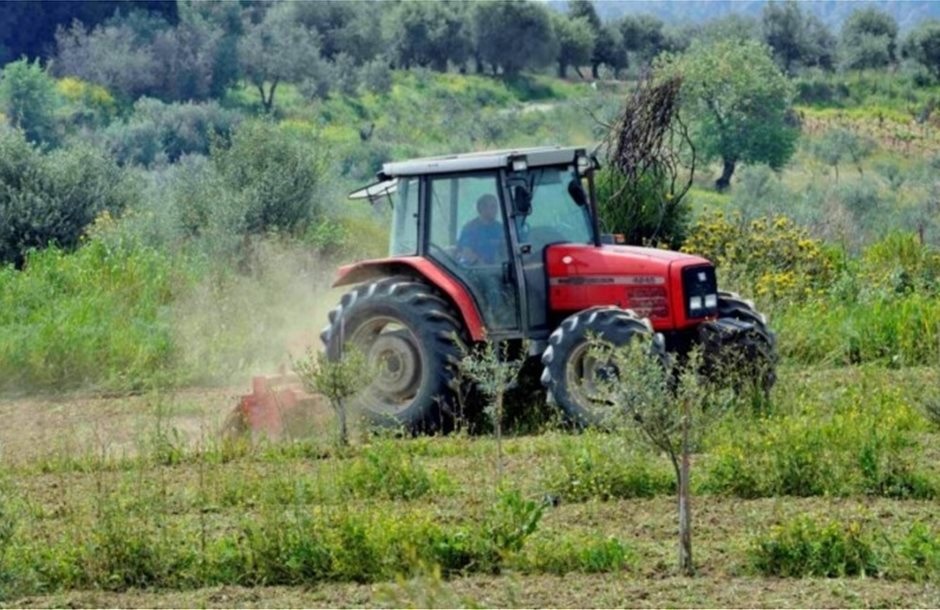 agrotes